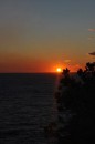 DSC_0468_resize.JPG
