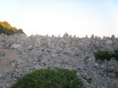 P7200146_resize.JPG