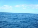 P7210222_resize.JPG